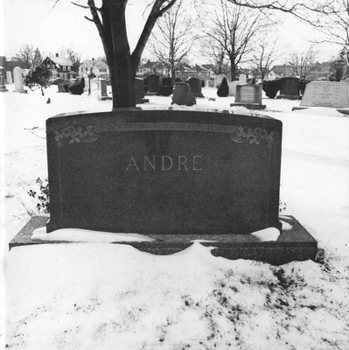 Paperback Carl Andre: Quincy Book