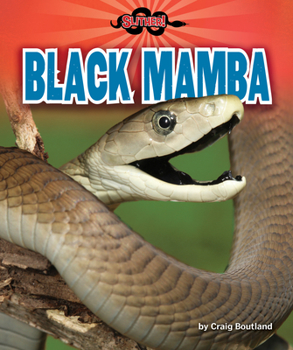 Paperback Black Mamba Book