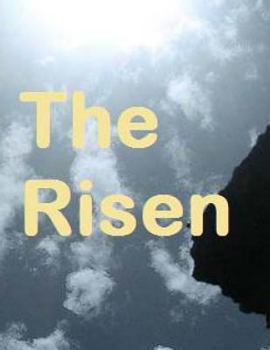 Paperback The Risen: channeled material Book