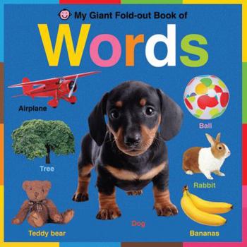 Board book My Giant Fold-Out Book of Words Book