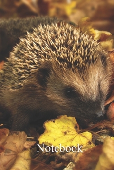 Paperback Notebook: Notebook Hedgehog Fun gift for someone's birthday, perfect present for a friend or a family member. Blank Lined Journa Book