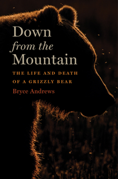 Hardcover Down from the Mountain: The Life and Death of a Grizzly Bear Book