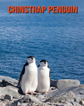 Paperback Chinstrap Penguin: Amazing Facts about Chinstrap Penguin Book