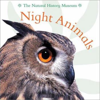 Hardcover Night Animals Book