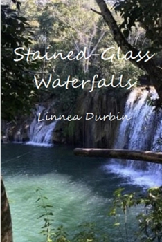 Paperback Stained-Glass Waterfalls Book