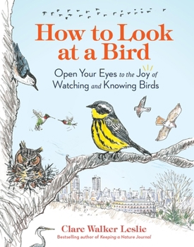 Paperback How to Look at a Bird: Open Your Eyes to the Joy of Watching and Knowing Birds Book