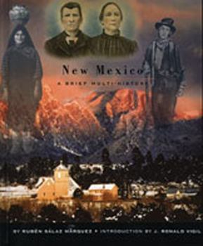 Hardcover New Mexico: A Brief Multi-History Book