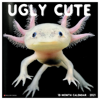 Calendar Ugly Cute 2021 Wall Calendar Book