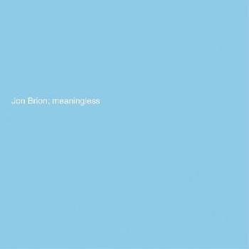 Vinyl Meaningless Book