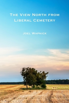 Paperback The View North From Liberal Cemetery Book