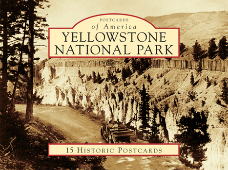Loose Leaf Yellowstone National Park Book
