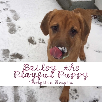 Paperback Bailey The Playful Puppy Picture Book