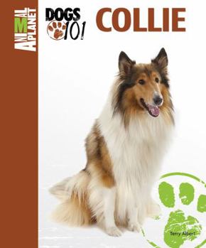 Hardcover Collie Book