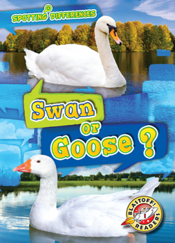 Swan or Goose? - Book  of the Scholastic: Blastoff! Spotting Differences