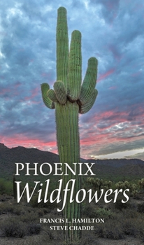 Paperback Phoenix Wildflowers: A Field Guide to the Common Shrubs, Herbs, Cacti and Ferns of the Phoenix Region Book