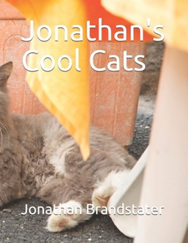 Paperback Jonathan's Cool Cats Book