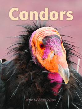 Condors