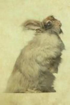 Paperback English Angora Rabbit: Artified Pets Journal/Notebook/Diary Book