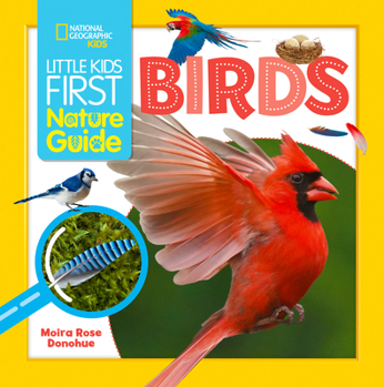 Library Binding Little Kids First Nature Guide Birds Book