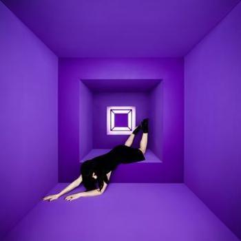 Vinyl Raving Ghost Book