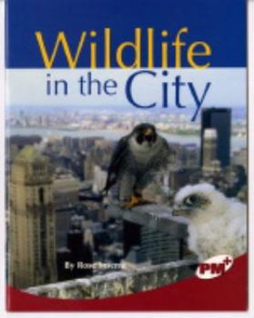 Hardcover Wildlife in the City: PM Plus: Ruby Book