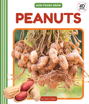 Library Binding Peanuts Book