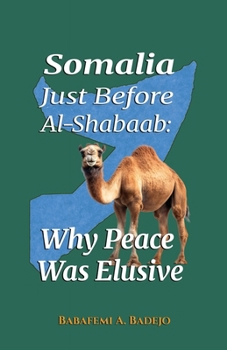 Paperback Somalia Just Before Al-Shabaab: Why Peace Was Elusive Book