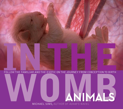 Hardcover In the Womb: Animals Book