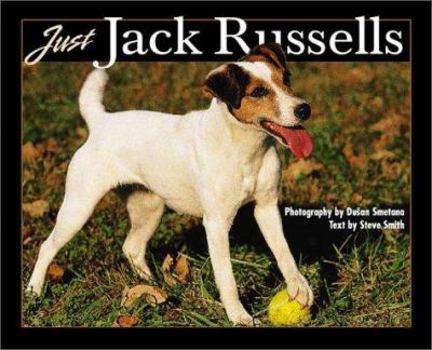 Hardcover Just Jack Russells Book