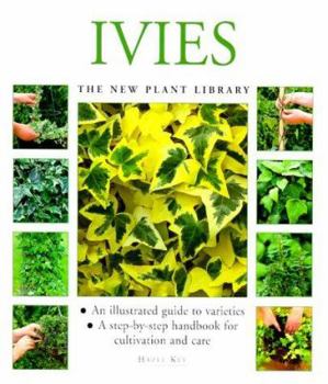 Ivies (Little Plant Library)