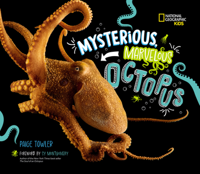 Hardcover Mysterious, Marvelous Octopus! Book