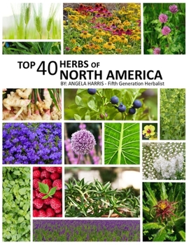 Paperback Top 40 Herbs of North America Book