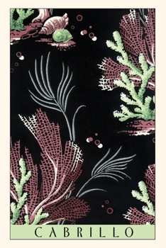 Paperback Vintage Journal Cabrillo, Kelp Beds Book