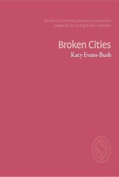 Paperback Broken Cities Book