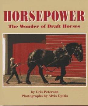 Hardcover Horsepower Book