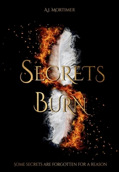 Hardcover Secrets Burn Book