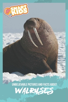 Unbelievable Pictures and Facts About Walruses