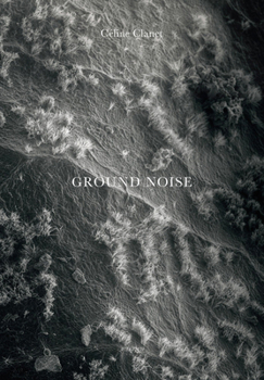 Hardcover Céline Clanet: Ground Noise Book