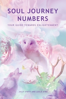 Paperback Soul Journey Numbers: Your Guide Towards Enlightenment Book