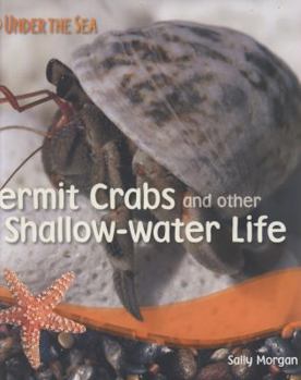 Paperback Under the Sea - Hermit Crabs Book