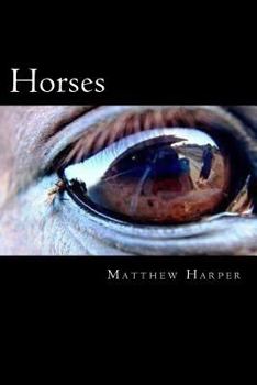 Paperback Horses: The Essential Guide To Horses For Kids Book