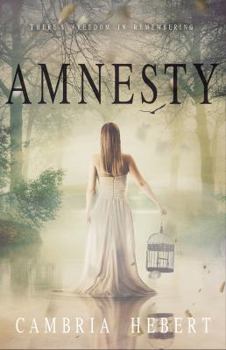 Paperback Amnesty: Amnesia duet book 2 Book