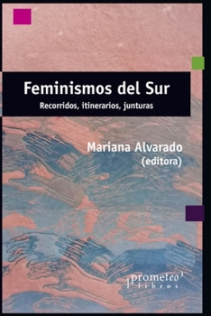 Paperback Feminismos del sur: Recorridos, itinerarios, junturas [Spanish] Book