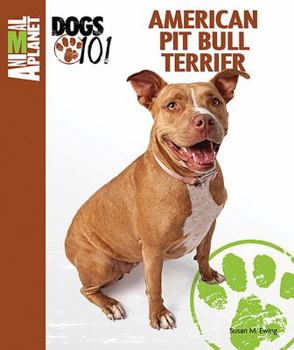 American Pit Bull Terrier - Book  of the Animal Planet Dogs 101