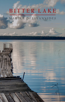 Paperback Bitter Lake Book
