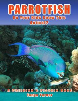 Parrotfish: Do Your Kids Know This Animal?: A Children's Picture Book about Parrotfish