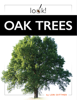 Hardcover Oak Trees Book