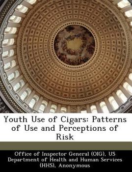 Paperback Youth Use of Cigars: Patterns of Use and Perceptions of Risk Book