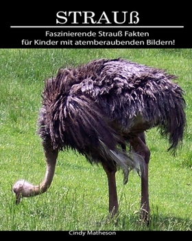 Strauß: Faszinierende Strauß Fakten für Kinder mit atemberaubenden Bildern! (German Edition)
