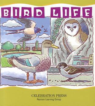 Chatterbox Stage 2 Bird Life Single